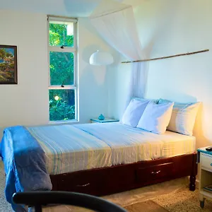 https://moonlight-beach-studio-montego-bay-club.hotelsnegriljamaica.com